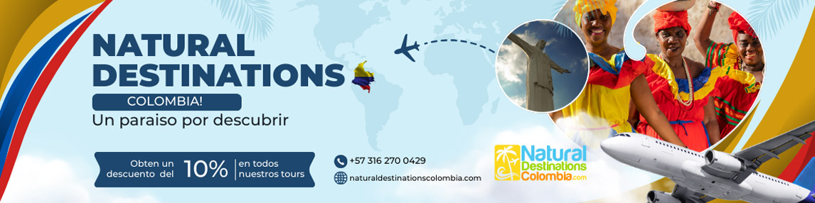 Descripción de la imagen